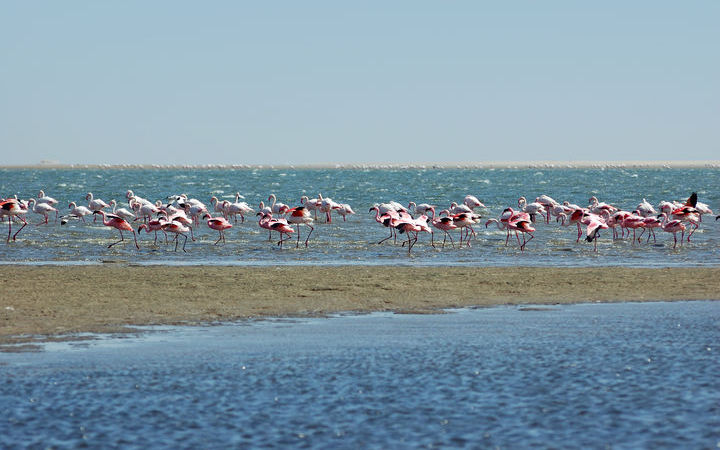 Escale Walvis Bay