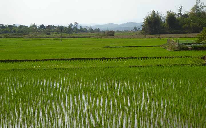 Laos (Ban Pha Leab, Barrage de Xayaburi)