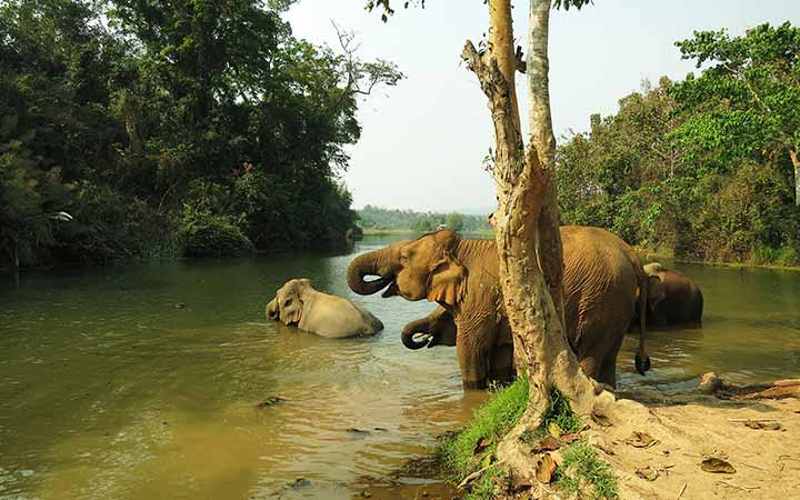 Laos (Ban Pha Leab, Barrage de Xayaburi)