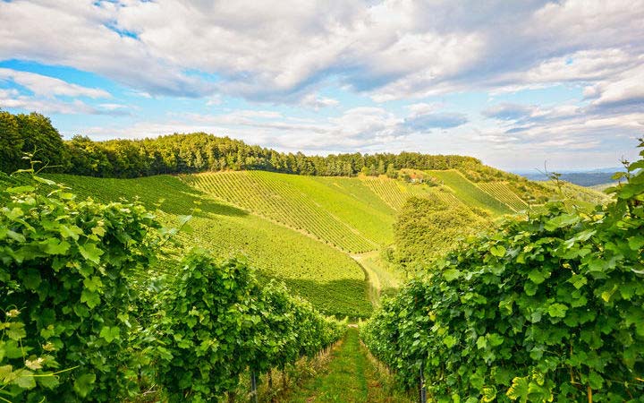 XOUAXANGE-EN-MOSELLE