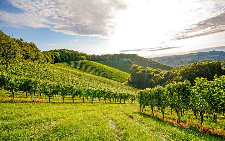 XOUAXANGE-EN-MOSELLE