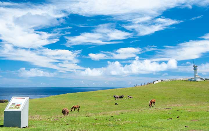 Japon (Yonagunijima)