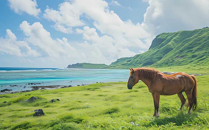 Japon (Yonagunijima)