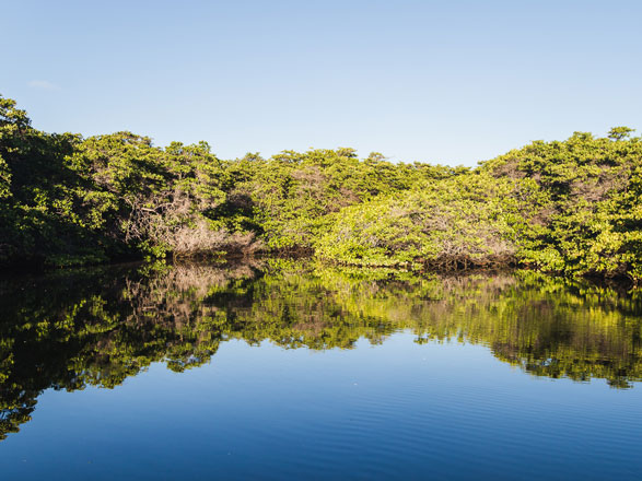 Les îles enchantées des Galapagos 