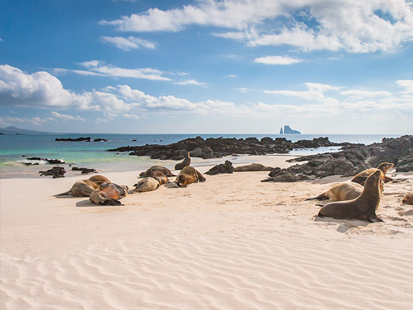 L'archipel mystérieux des Galapagos 