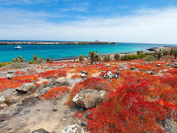 L'archipel mystérieux des Galapagos 