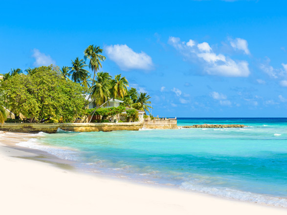Barbade, Ste Lucie, Dominique, St Christophe et Niévès, St Martin, Porto Rico 