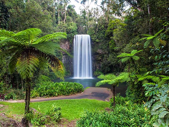Odyssée tropicale entre nord-est australien et Indonésie 