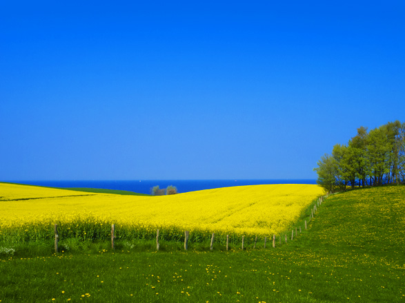 Allemagne, Danemark, Norvège 