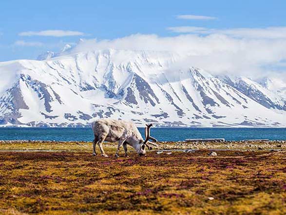 Longyearbyen à Tromso 