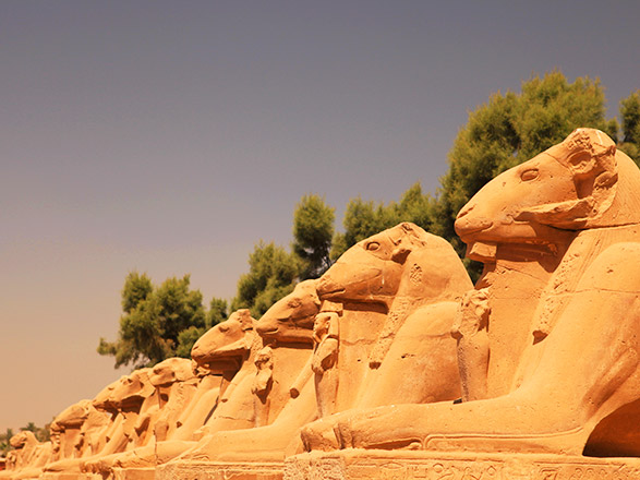 Club Jumbo Trésors au pays des pharaons 5 