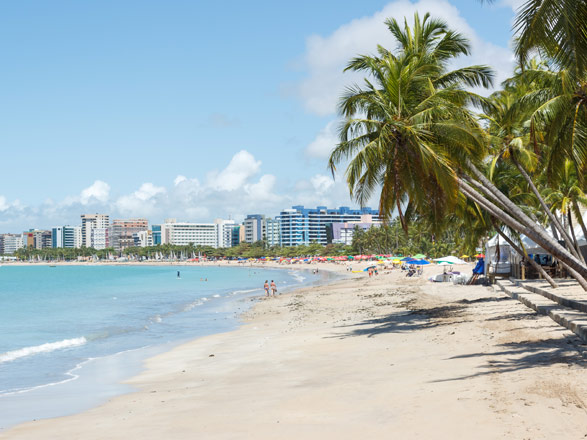  Brésil : Maceió, Salvador, Ilhéus, Rio de Janeiro 