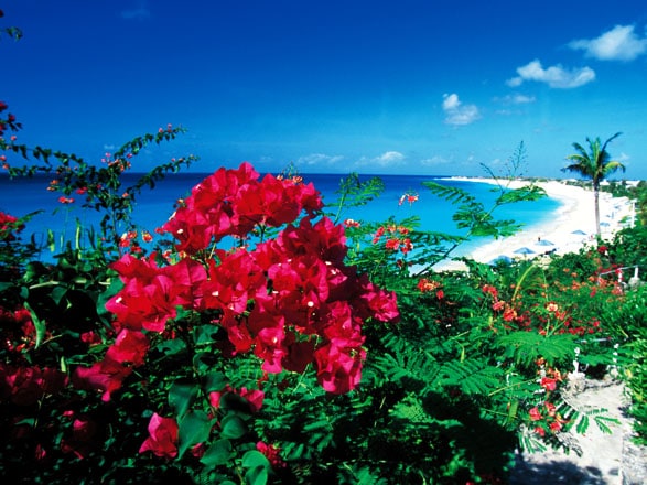 Îles au Trésor : Antilles et Caraïbes 
