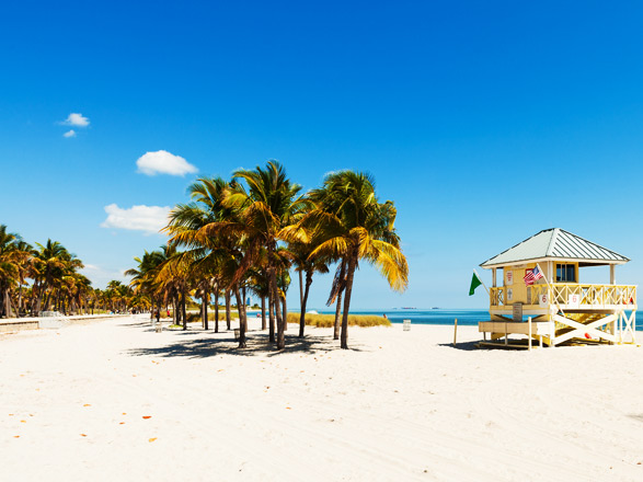 Bahamas : Ocean Cay, Nassau 