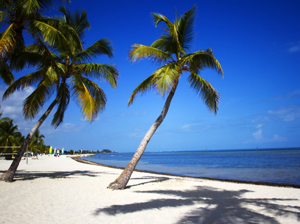 Bahamas : Nassau, Ocean Cay 