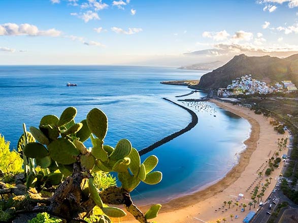Madère, Canaries 