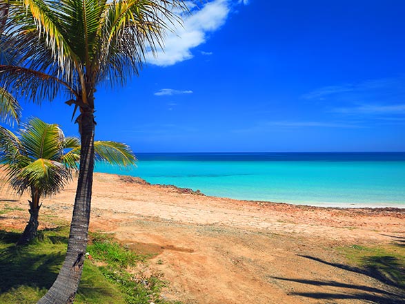 A la découverte des Grenadines et extension au Village Sainte-Luce Pierre & Vacances 