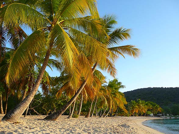 A la découverte des Grenadines et extension au Village Sainte-Luce Pierre & Vacances 