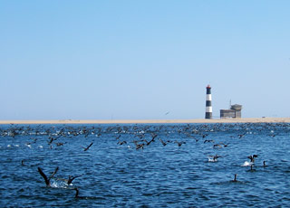 Voyage en Mer : de Walvis Bay à Dakar 