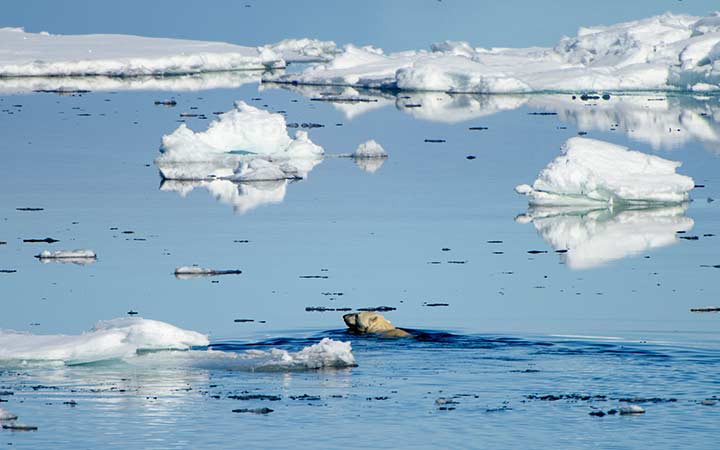 Spitzberg (Ile aux ours)