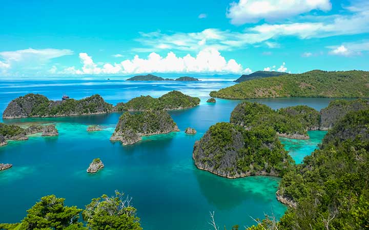 Papouasie-Nouvelle-Guinée (Îles Raja Ampat)