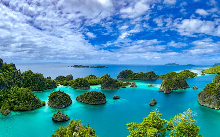 Papouasie-Nouvelle-Guinée (Îles Raja Ampat)