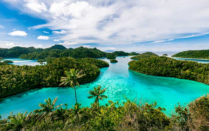 Papouasie-Nouvelle-Guinée (Îles Raja Ampat)
