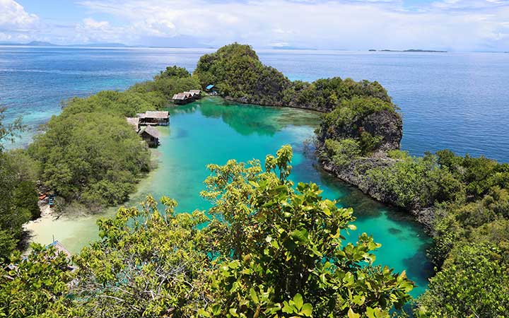 Papouasie-Nouvelle-Guinée (Îles Raja Ampat)