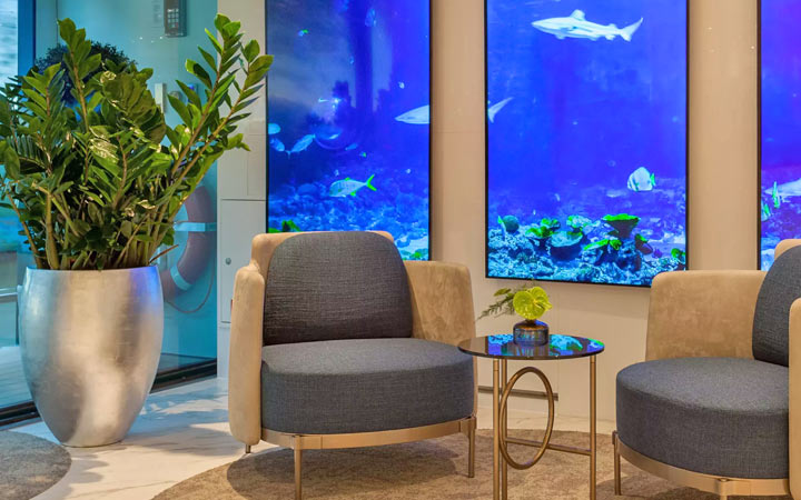 Navire MS Amadeus Impérial