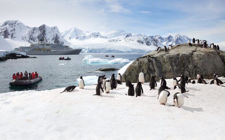 Navire Silver Endeavour