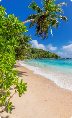 croisières Caraïbes